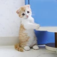 誕生日の思い出。