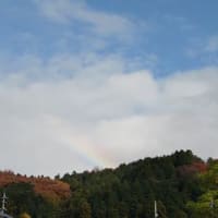 ドンドマインド！（Don't mind！）気にしない！