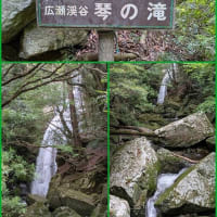 🚙和歌山に行って来ました 