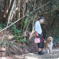 淡路島でプール遊び