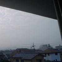 2025年7月3日（木）曇。