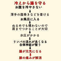 膝の痛み　腸の弱り