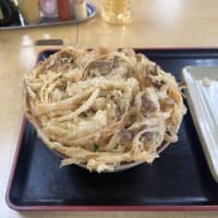 ごぼうのかき揚げ