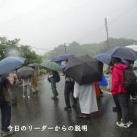 楽しいウォーク「基山の棚田を歩く」（佐賀県基山町）