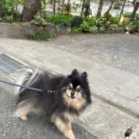 充実した1日