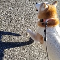 クリンへの想いは尽きなくて・・・301
