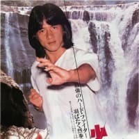 少林寺木人拳