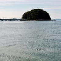 竹島海岸写真散歩