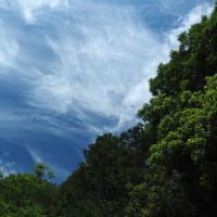 延岡ふるさと里山のチカラ再発見写真館NO 3494
