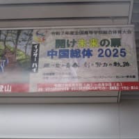 インターハイ・高校総体が広島市で開催されます・・・インターハイが暑い夏を更に熱くします　インターハイ広島の成功を祈ります！