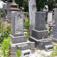 梅雨の晴れ間の雑司ヶ谷霊園