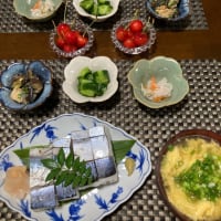 鯖の押し寿司