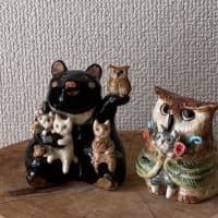 こねこ展最終日(^^)