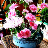 カウンターの花・ピント外れでした、
