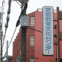 第46回文部科学大臣杯少年少女囲碁大会 京都府大会結果