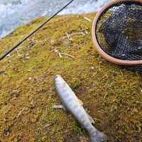 春、釣り、寒い、でも楽し。