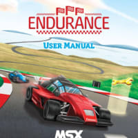 エンデュランス(Endurance)