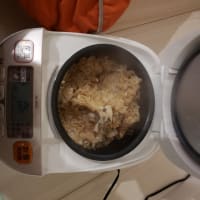 釣行記録1.5話　マアジ釣り調理編
