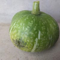 一雨欲しい