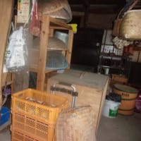 いよいよ37度突破