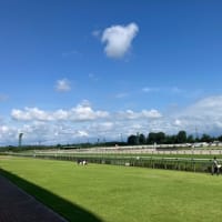 真夏の新潟競馬場