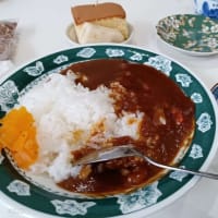 ♪　老いの日々を、地域社会の一人として生きる「さくら♪の日々是好日」