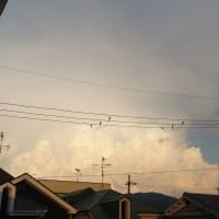 連日の入道雲