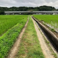 おはようございます！