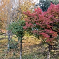 師走雑感
