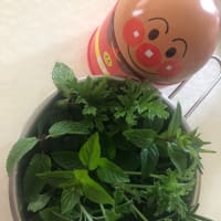 最近のこと