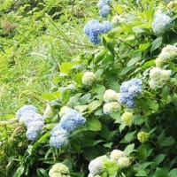 TVのHDから消せない15分の録画(^_-) ←古い朝ドラやけどね～♪