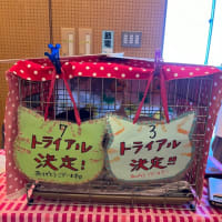 2024/10/13 譲渡会報告・お礼