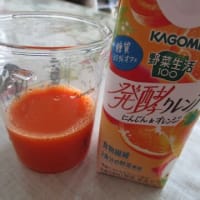 カゴメの野菜生活１００ 発酵クレンズ にんじん＆オレンジ