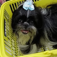 ちょっと待ってねって言ったのに。。。