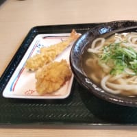 2025’春「天ぷら/おでん定期券」利用記録