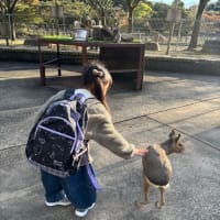 2024年12月　稲取3
