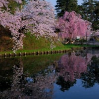 青森・北海道の撮影旅行その７　（弘前城の桜・４月２６日早朝 −１）