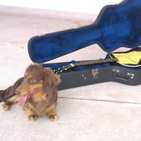 ボーッといたわる
