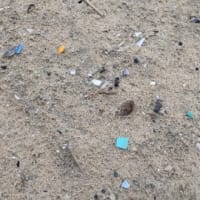 マイクロプラスチックゴミは、なかなか厄介です