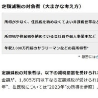 2024年度（令和6年度）の税制改正大綱で、4万円の定額減税