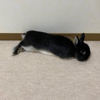 週刊すばる vol. 148