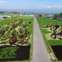 L'arte sulle risaie