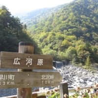 北岳・間ノ岳 登ってきました(^-^)