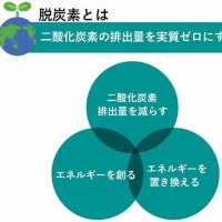『ネクステラ』『脱炭素』『カーボンニュートラル』