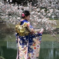 12日（日曜日）土岐市成人の日式典2時半から