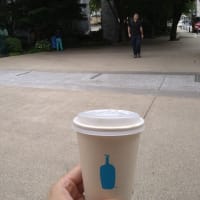 初夏ですね・・・