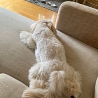 今日の出来事