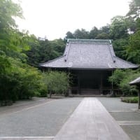 2025　梅雨入り前　鎌倉