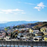 町田市、瑞石山・清水寺の彫り物　①