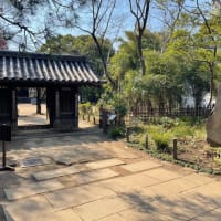 哲学堂公園　Mar-23-2025